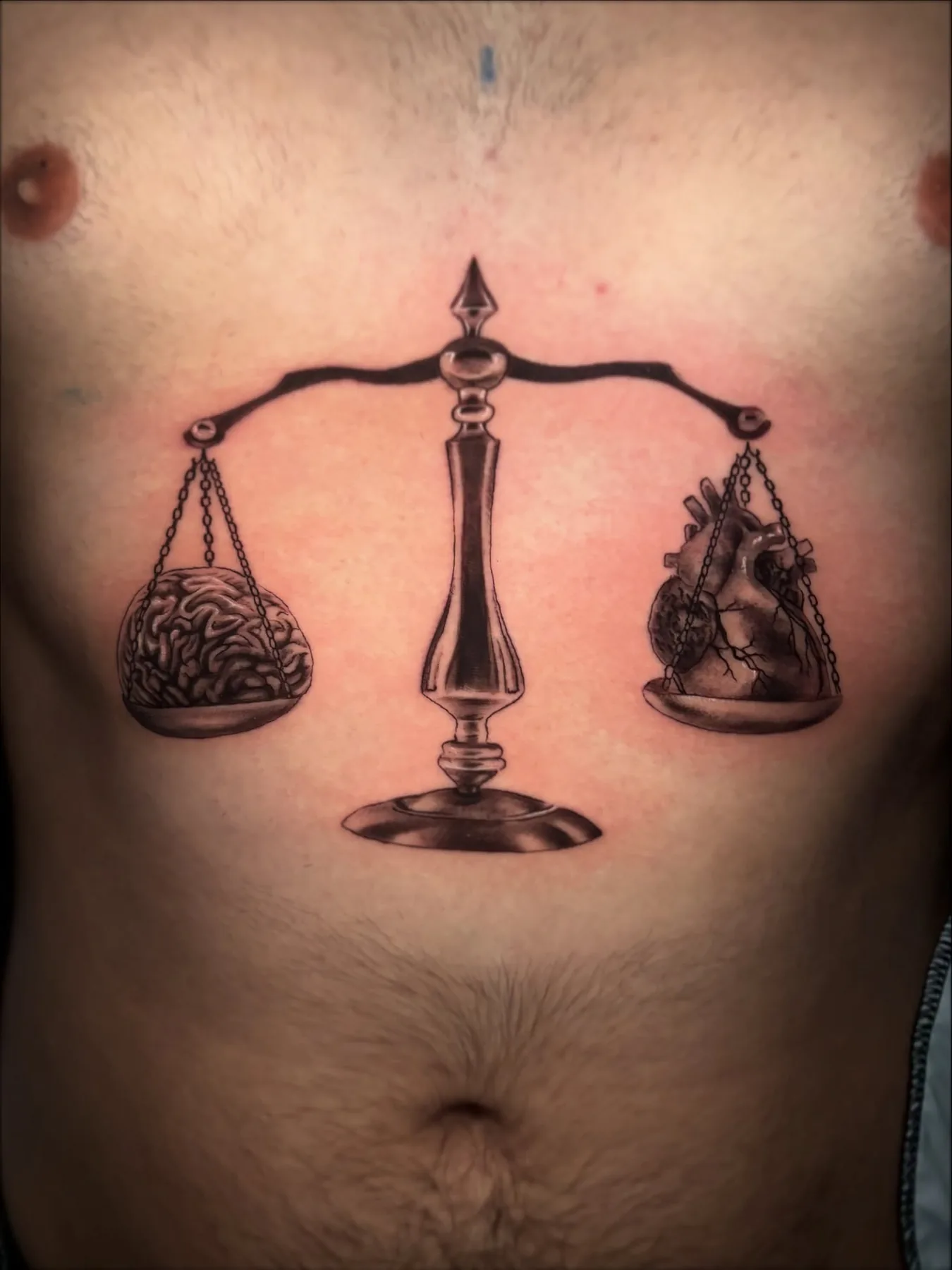 Balanza de la justicia, abdomen
