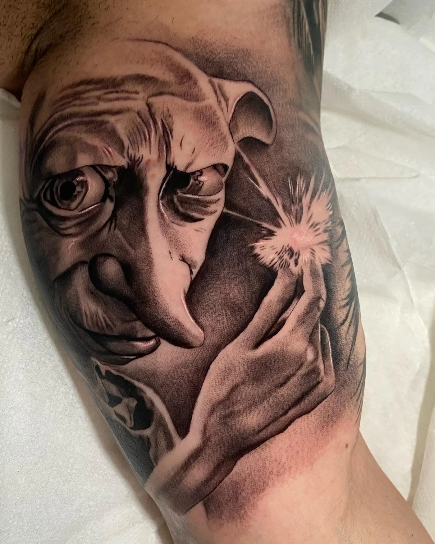 Dobby, retrato realista, brazo