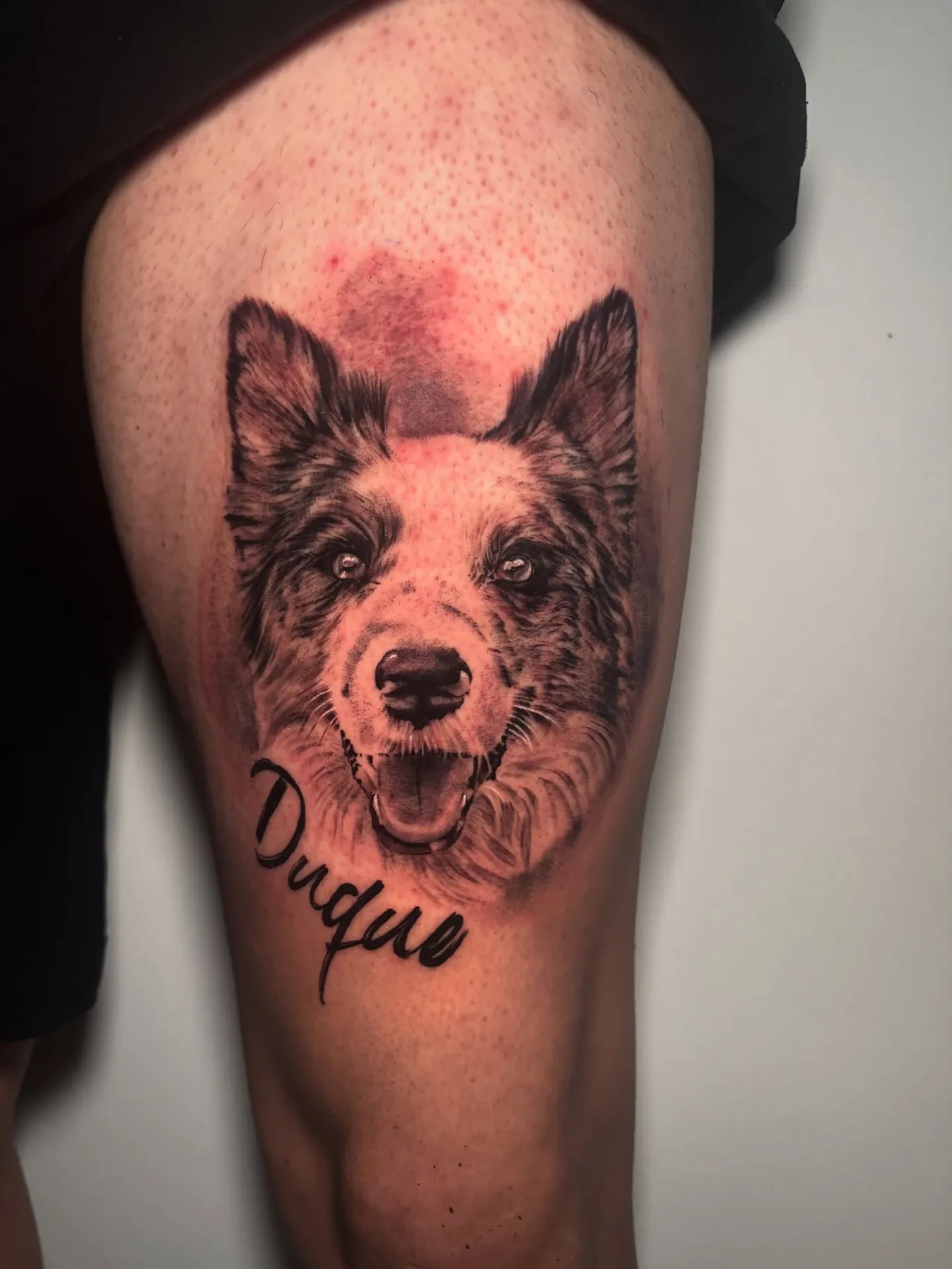 Retrato de perro con su nombre, Duque