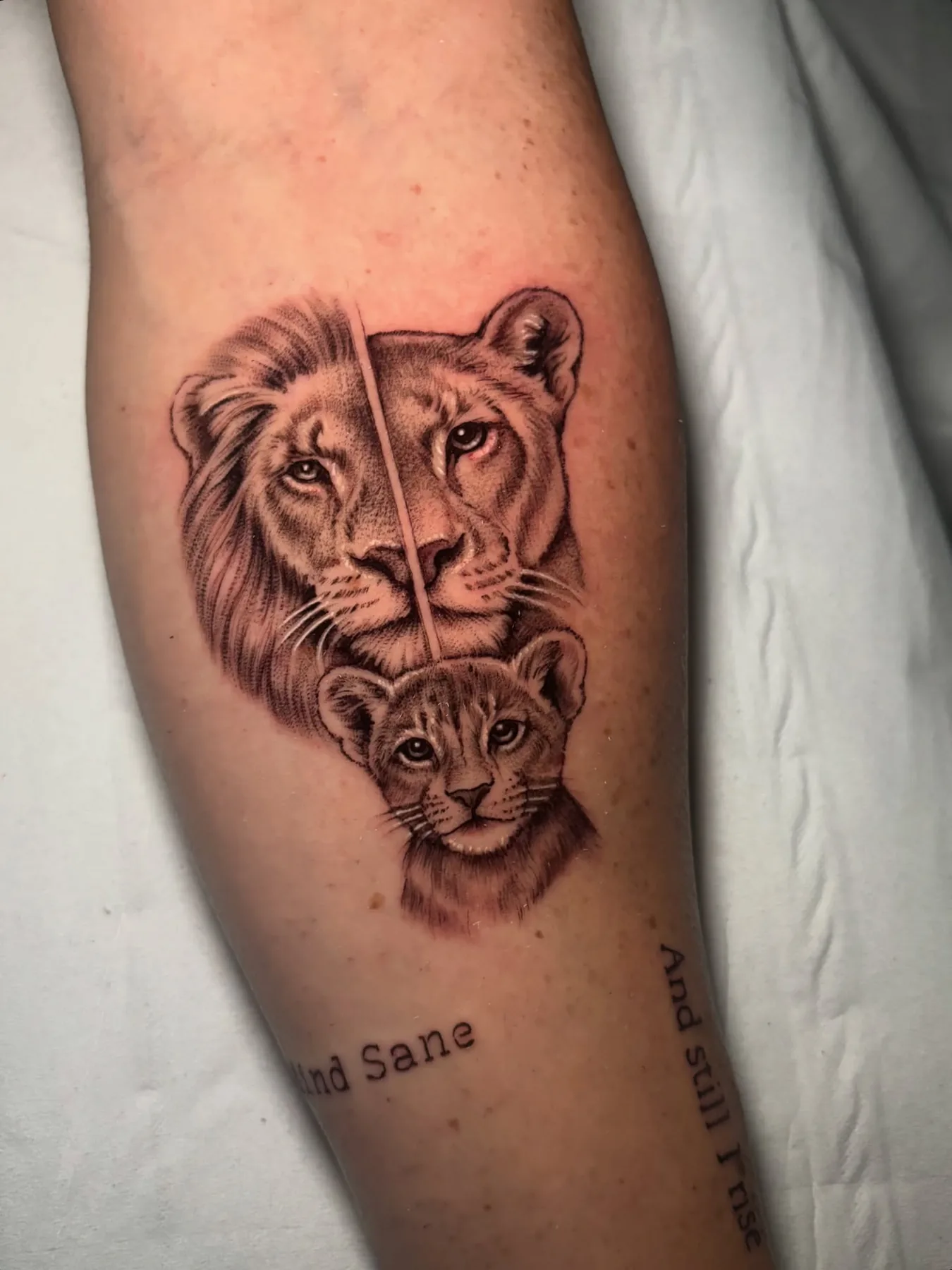 Leona y cachorro, antebrazo