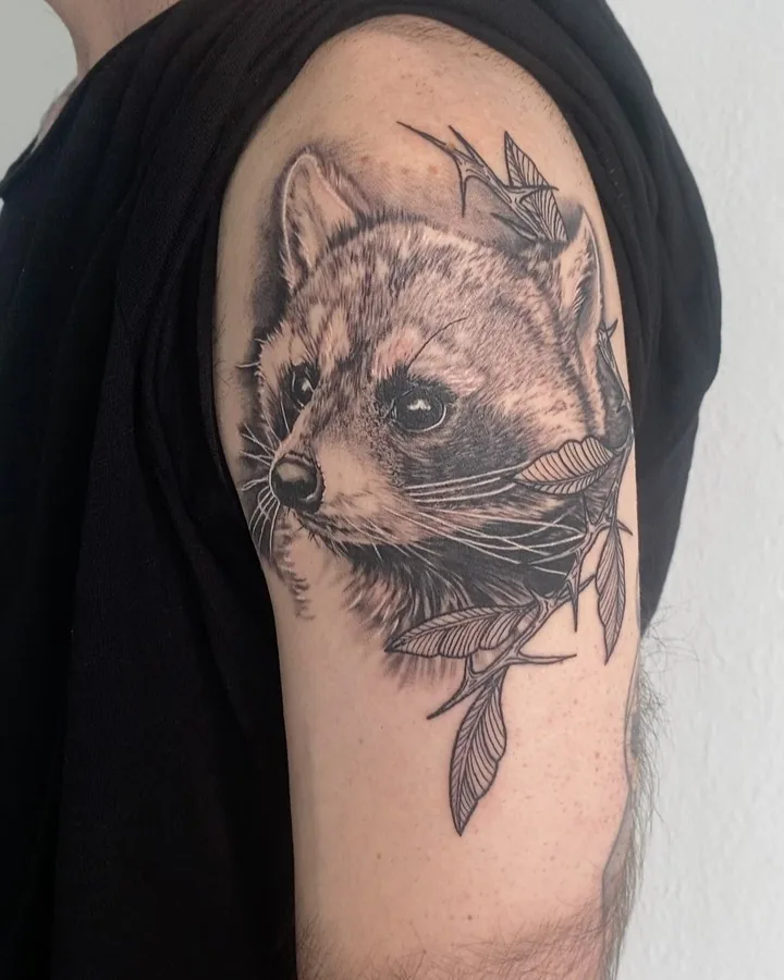 Mapache entre hojas, hombro